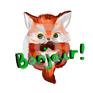 A cute babyfox says bonjour